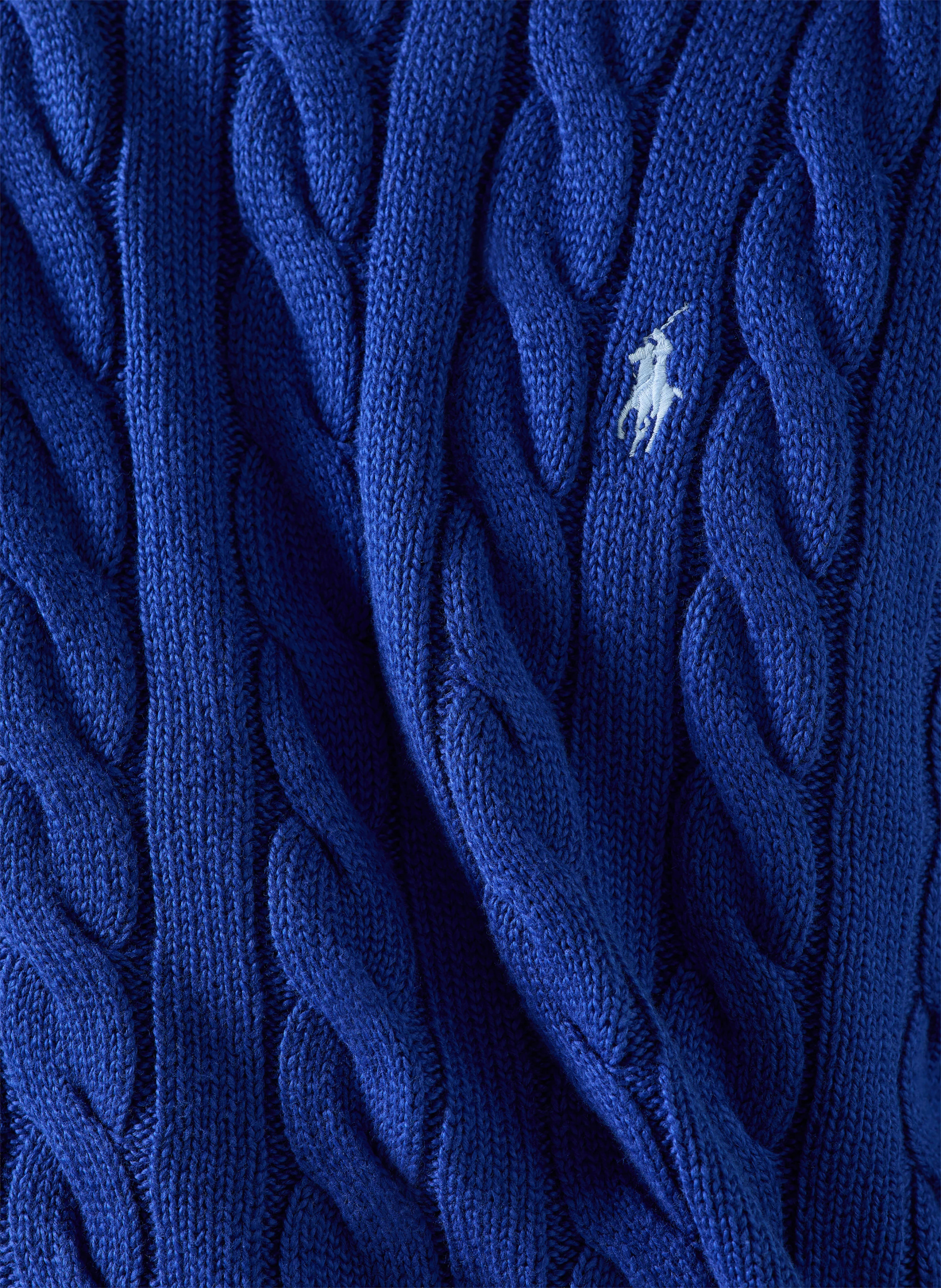 POLO RALPH LAUREN Pullover – BLAU (1)