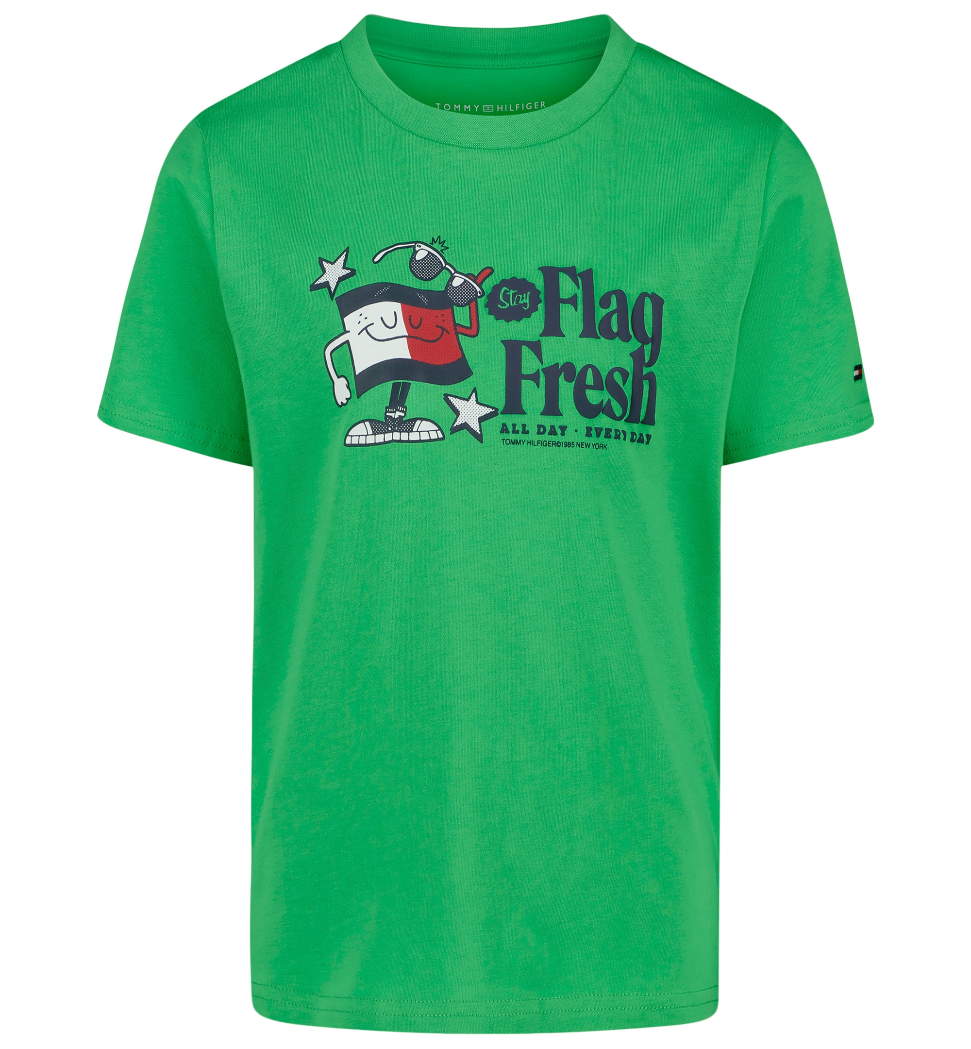 Tommy Hilfiger Boys' 2T-7 Flag Fresh Short-Sleeve T-Shirt - Island Green