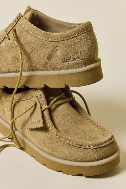 Clarks Men's Meare Walla Suede Shoes - Maple Suede