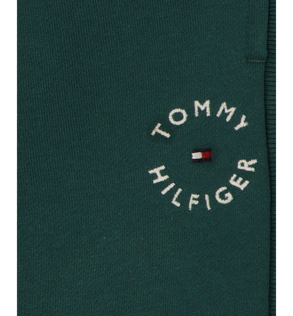 Tommy Hilfiger Boys' 8-20 Logo Knit Jogger Pants - June Bug