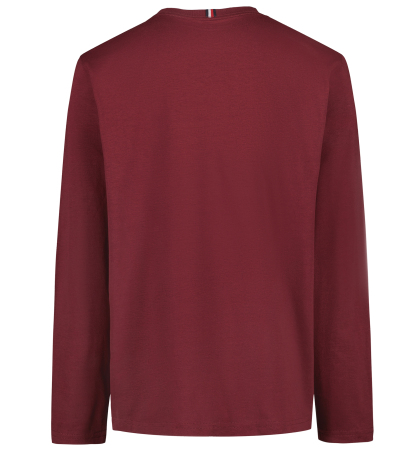 Tommy Hilfiger Boys' 8-20 Quad Pieced Long-Sleeve Graphic Colorblock T-Shirt - Zinfandel