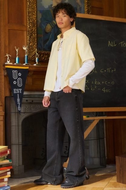 BDG Nitro Baggy Fit Jeans - Lynx