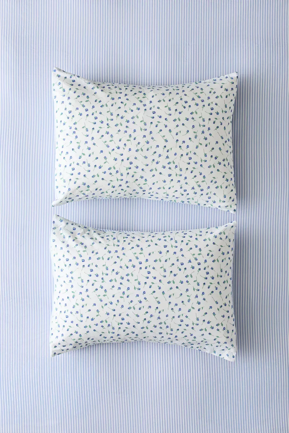 Maise Floral Patterned Reversible Sham Set - Blue Flora/Stripe