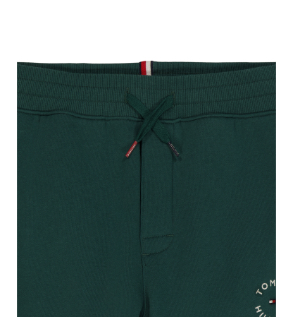 Tommy Hilfiger Boys' 8-20 Logo Knit Jogger Pants - June Bug