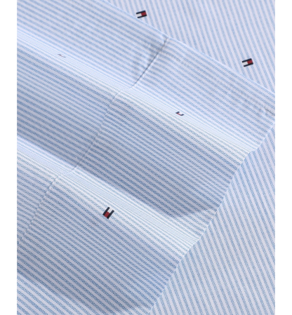 Tommy Hilfiger Printed 200-Thread Count Cotton Percale Sheet Set - Ithaca Stripe