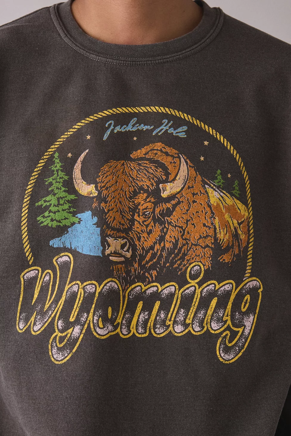 Wyoming Bison Graphic Crew Neck Sweatshirt - Brown