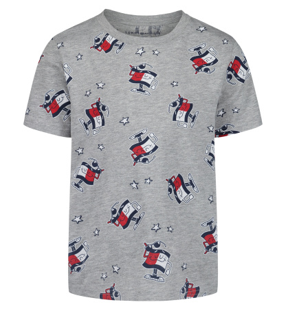 Tommy Hilfiger Boys' 2T-7 Short-Sleeve Graphic T-Shirt - Gray Heather