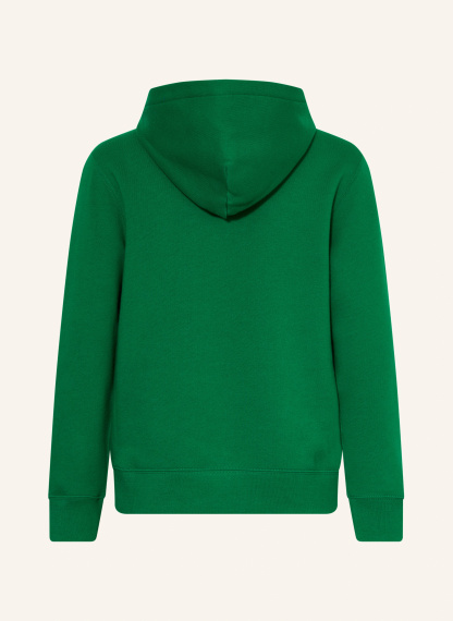 POLO RALPH LAUREN Hoodie – GRÜN
