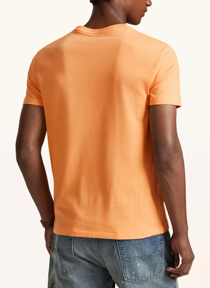 POLO RALPH LAUREN T-Shirt – ORANGE / GRÜN