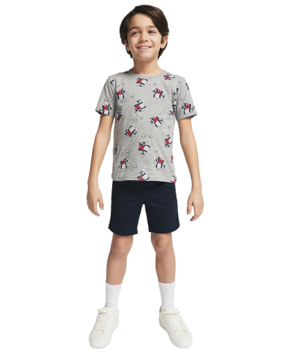 Tommy Hilfiger Boys' 2T-7 Short-Sleeve Graphic T-Shirt - Gray Heather