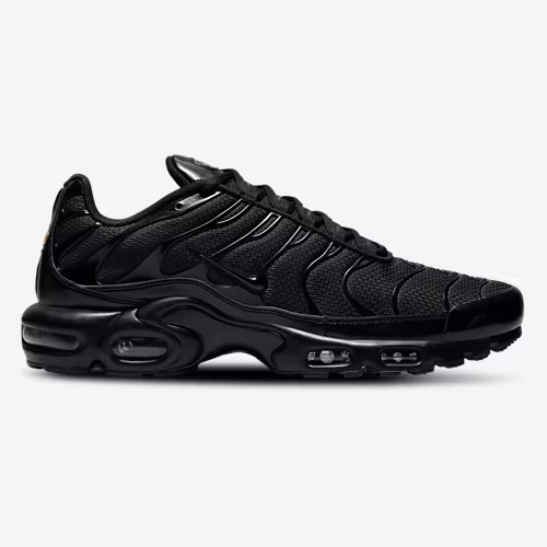 Nithtke Air Max Plus/Black