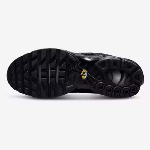 Nithtke Air Max Plus/Black