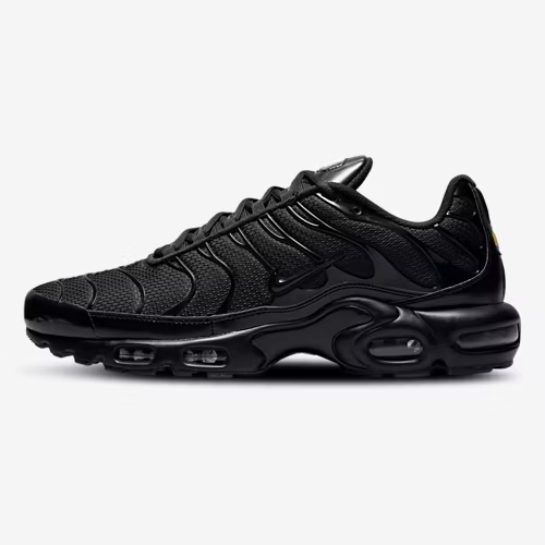 Nithtke Air Max Plus/Black