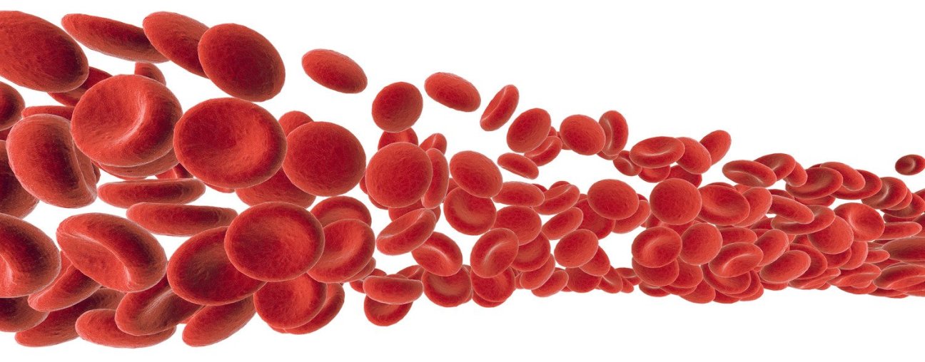 Why Blood Flow and Circulation Are Important for Erectile Dysfunction ...