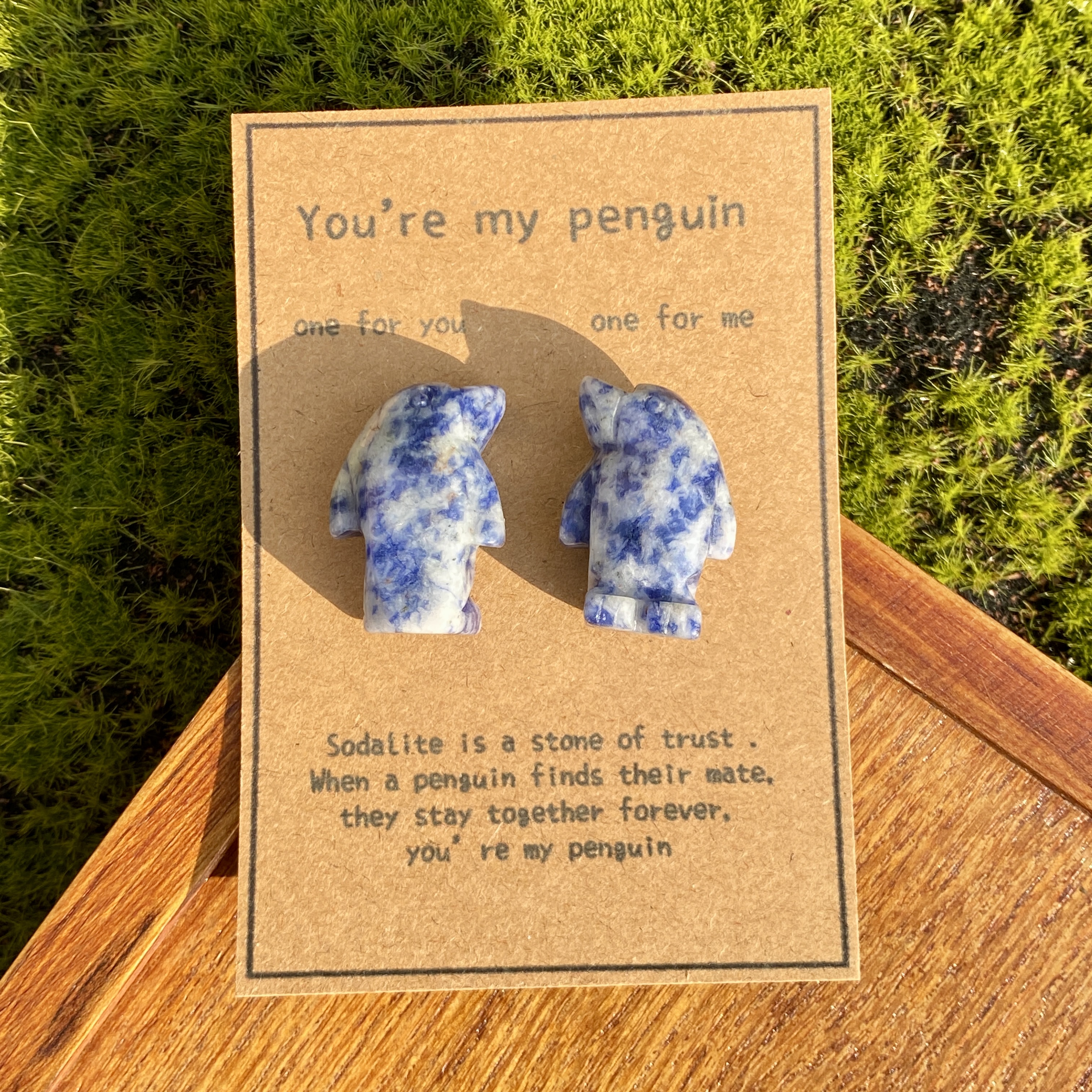 Crystal Rose Quartz Penguin Couple with Message Card, Hand-Carved Natural Gemstone Love Gift for Valentine’s Day, Anniversary, Wedding Keepsake