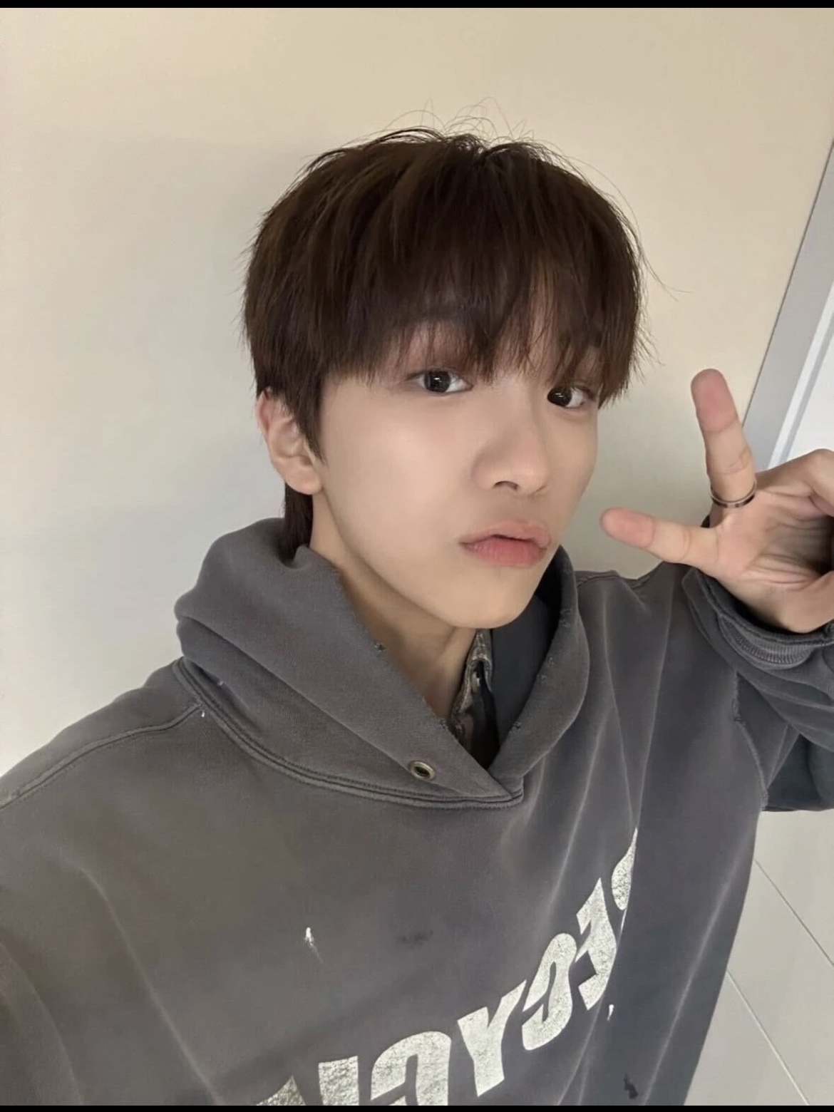 Seventeen&Enhypen&Riize Inspired Gray RECYCLE Hoodie