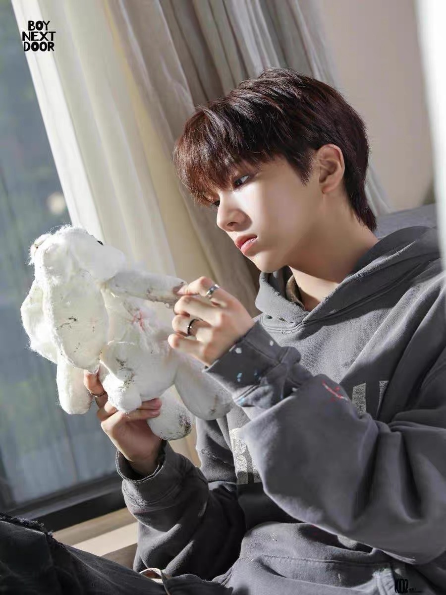 Seventeen&Enhypen&Riize Inspired Gray RECYCLE Hoodie