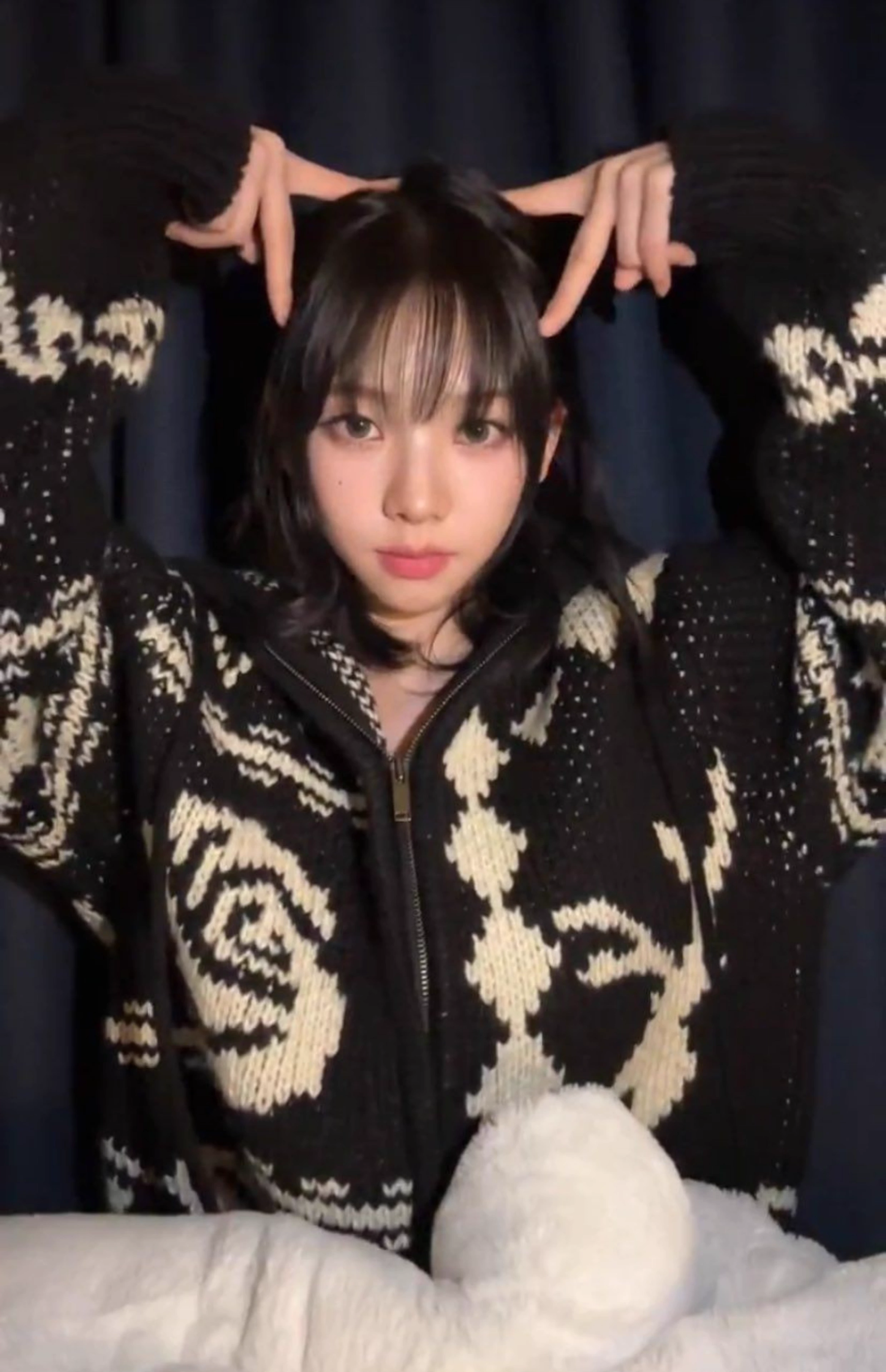 Hooded Sweater Zipper Cardigan-Aespa Karina