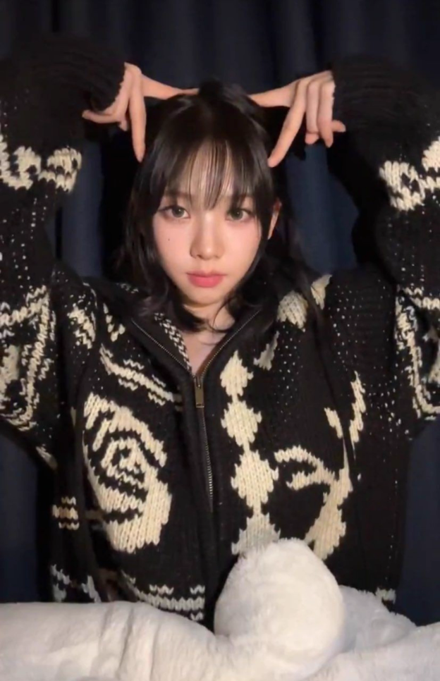 Hooded Sweater Zipper Cardigan-Aespa Karina