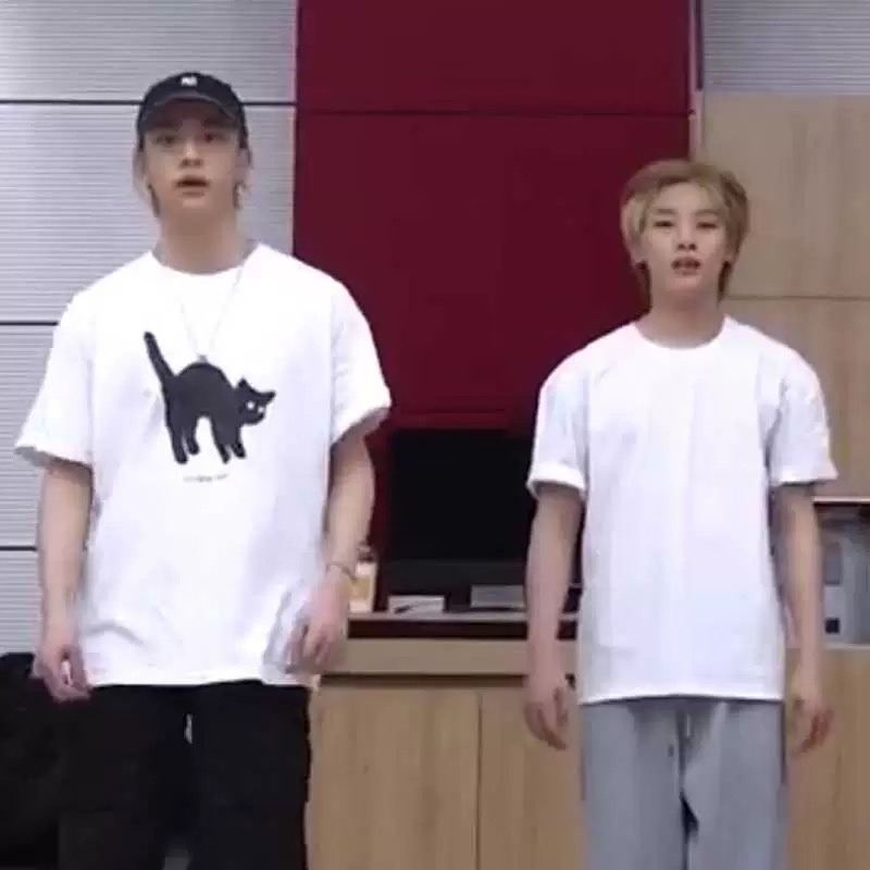 Stray Kids Hyunjin Cat Print InspiredOversized Cotton T-Shirt-straykids