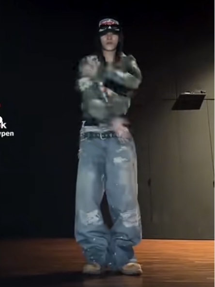 Enhypen Niki Inspired Trompe L‘oeil Denim Printed Pants