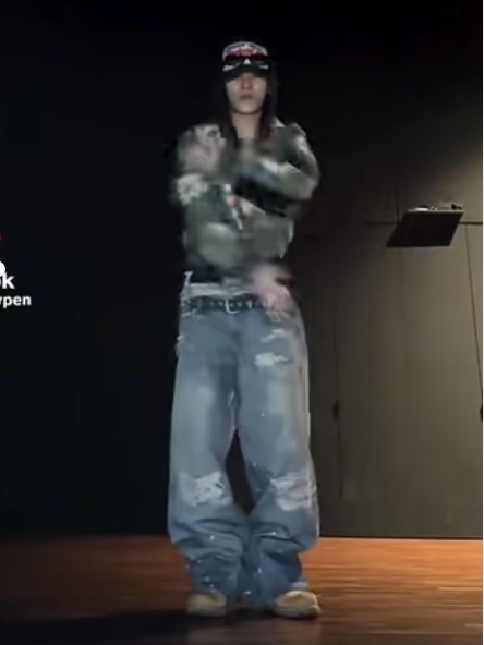 Enhypen Niki Inspired Trompe L‘oeil Denim Printed Pants