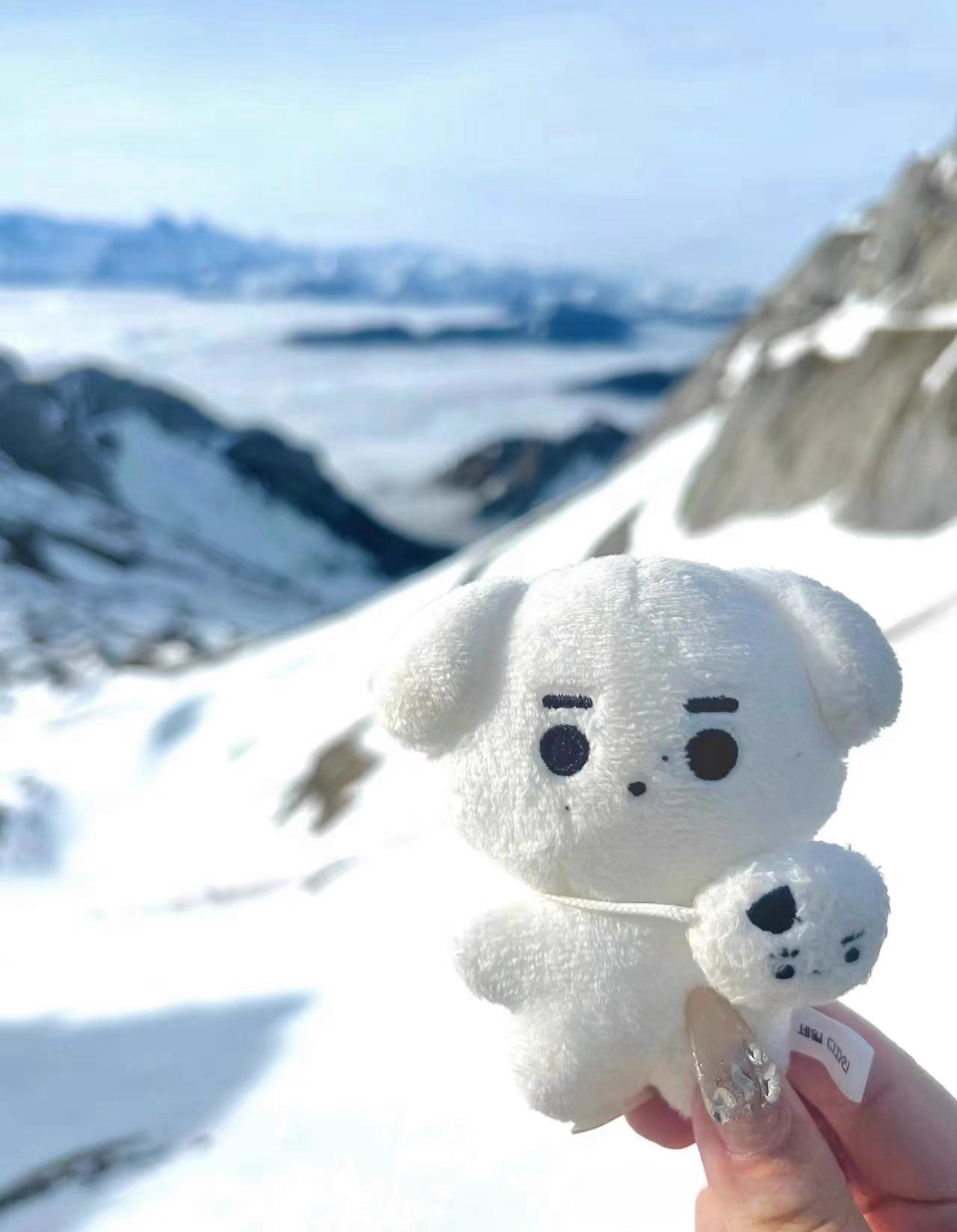 ENHYPEN Sunghoon Inspired Cotton Doll Hoondaeng