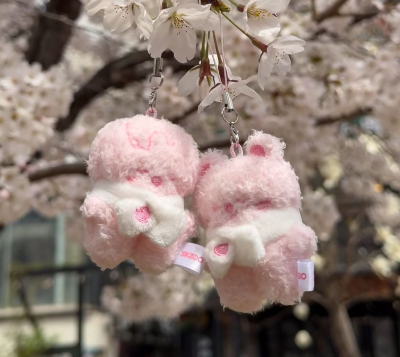 Stray kids Inspired Skzoo Secret Plush-Straykids