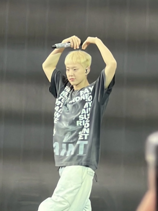 Seventeen Hoshi Inspired T-Shirt