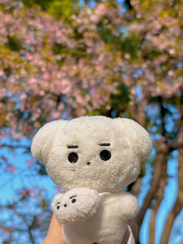 ENHYPEN Sunghoon Inspired Cotton Doll Hoondaeng