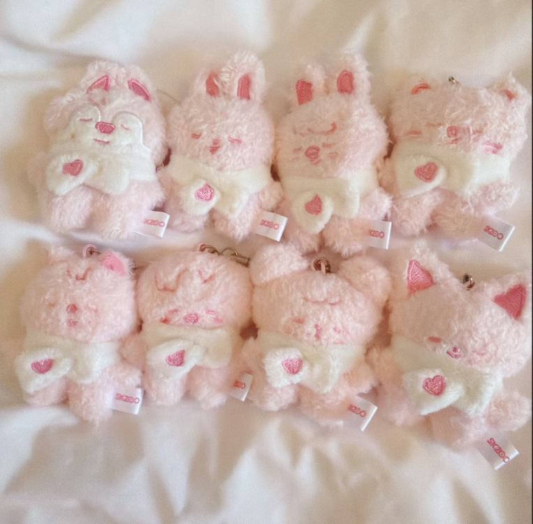 Stray kids Inspired Skzoo Secret Plush-Straykids