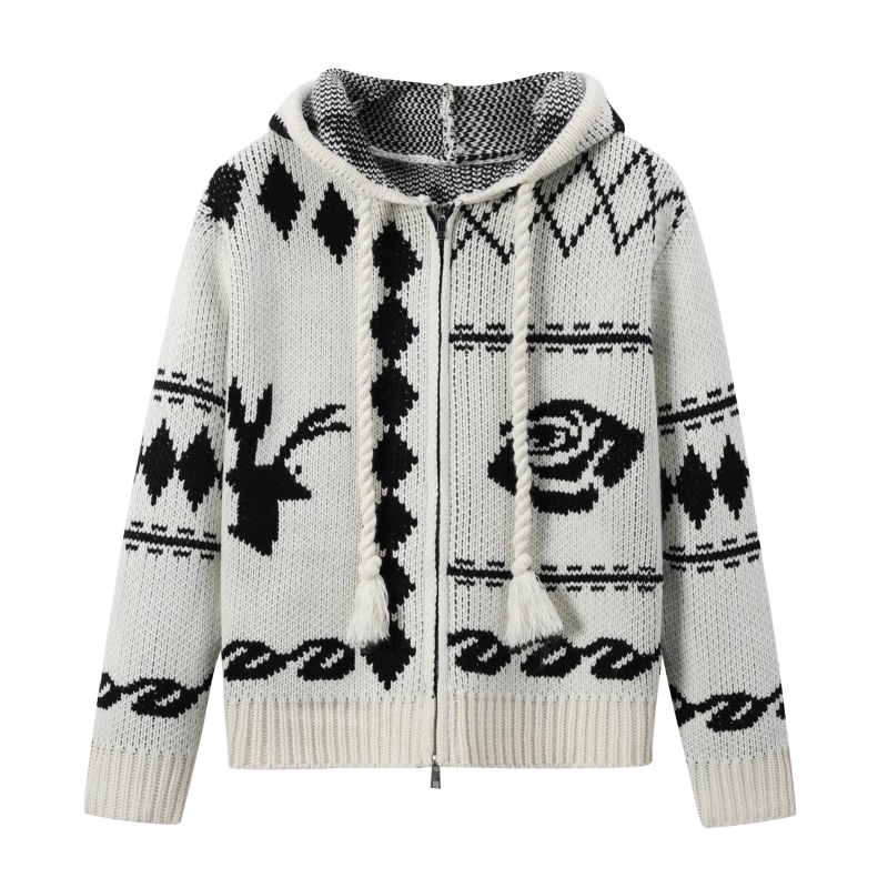 Hooded Sweater Zipper Cardigan-Aespa Karina