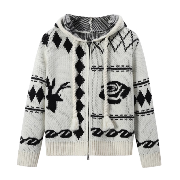 Hooded Sweater Zipper Cardigan-Aespa Karina