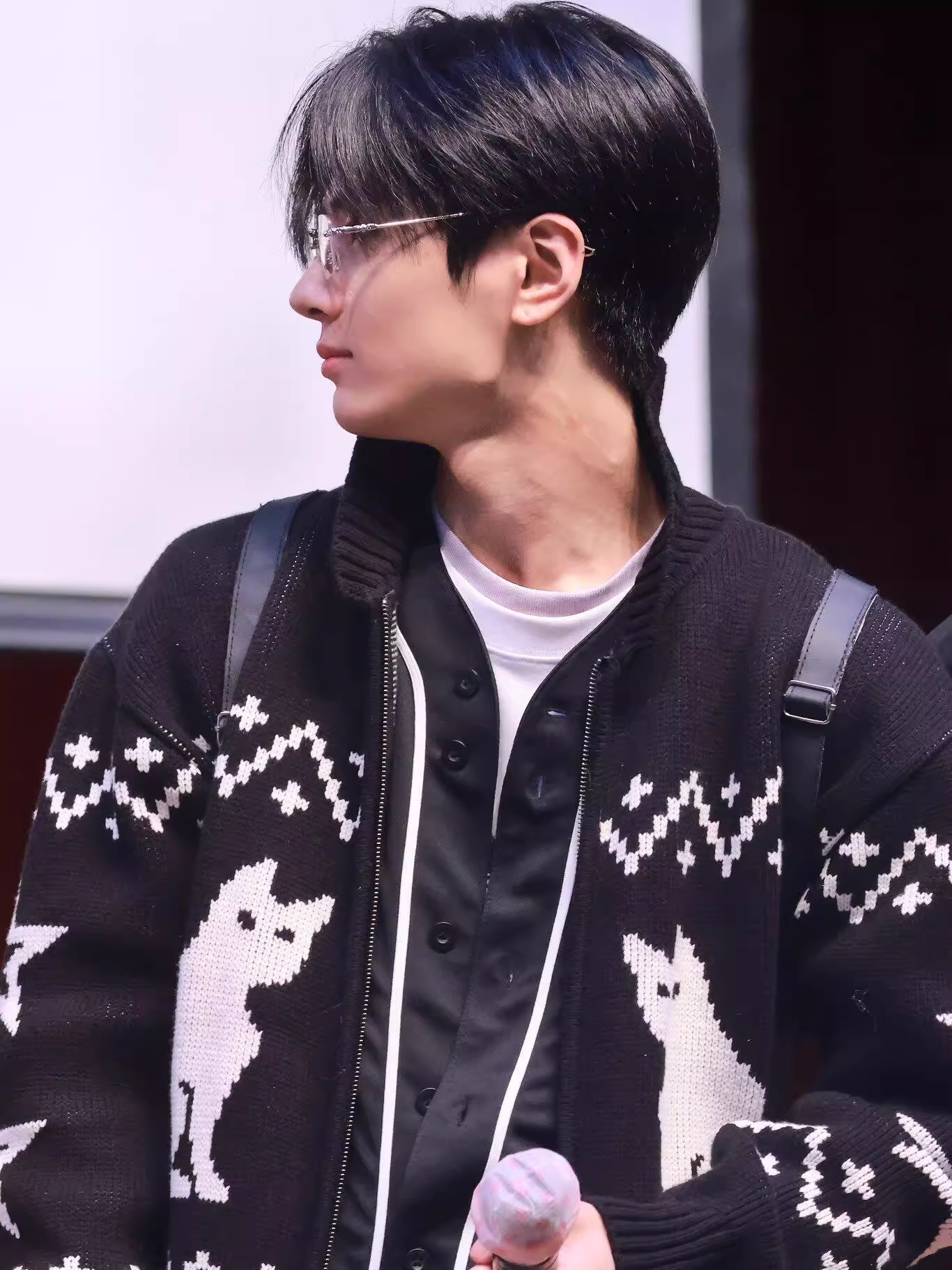 Enhypen Jay Cat Print Inspired Cat Zip-up Sweater