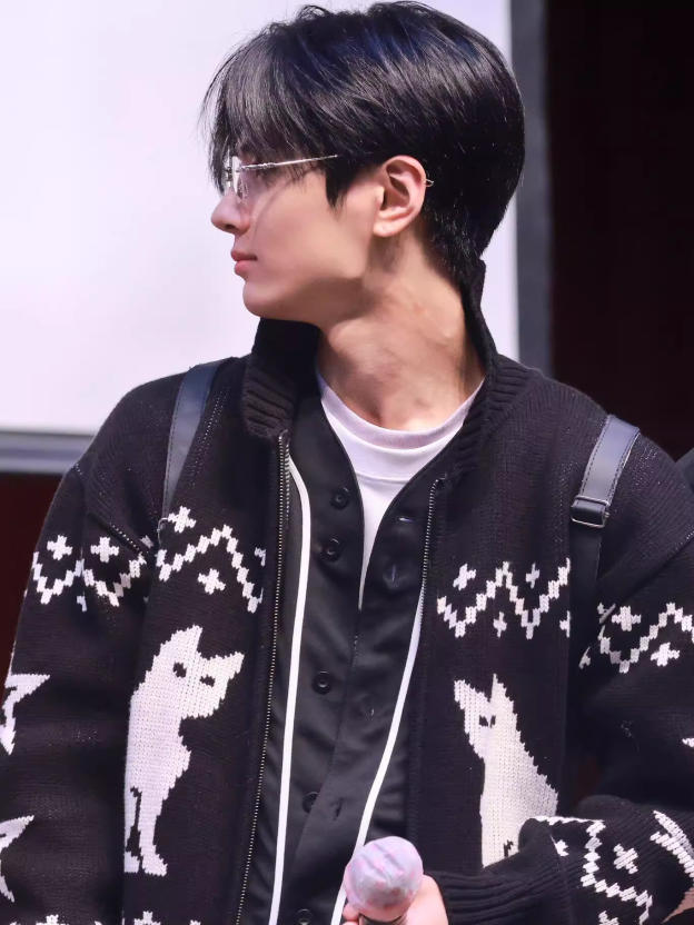 Enhypen Jay Cat Print Inspired Cat Zip-up Sweater