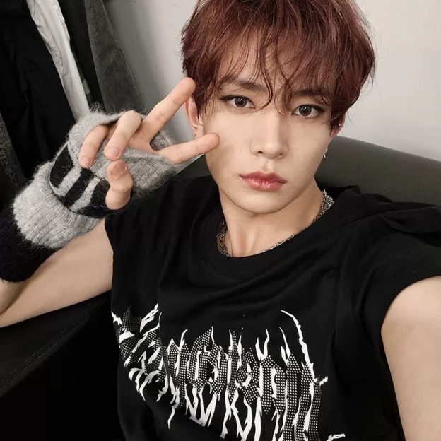 ENHYPEN Heeseung Inspired Oversized summer T-Shirt 