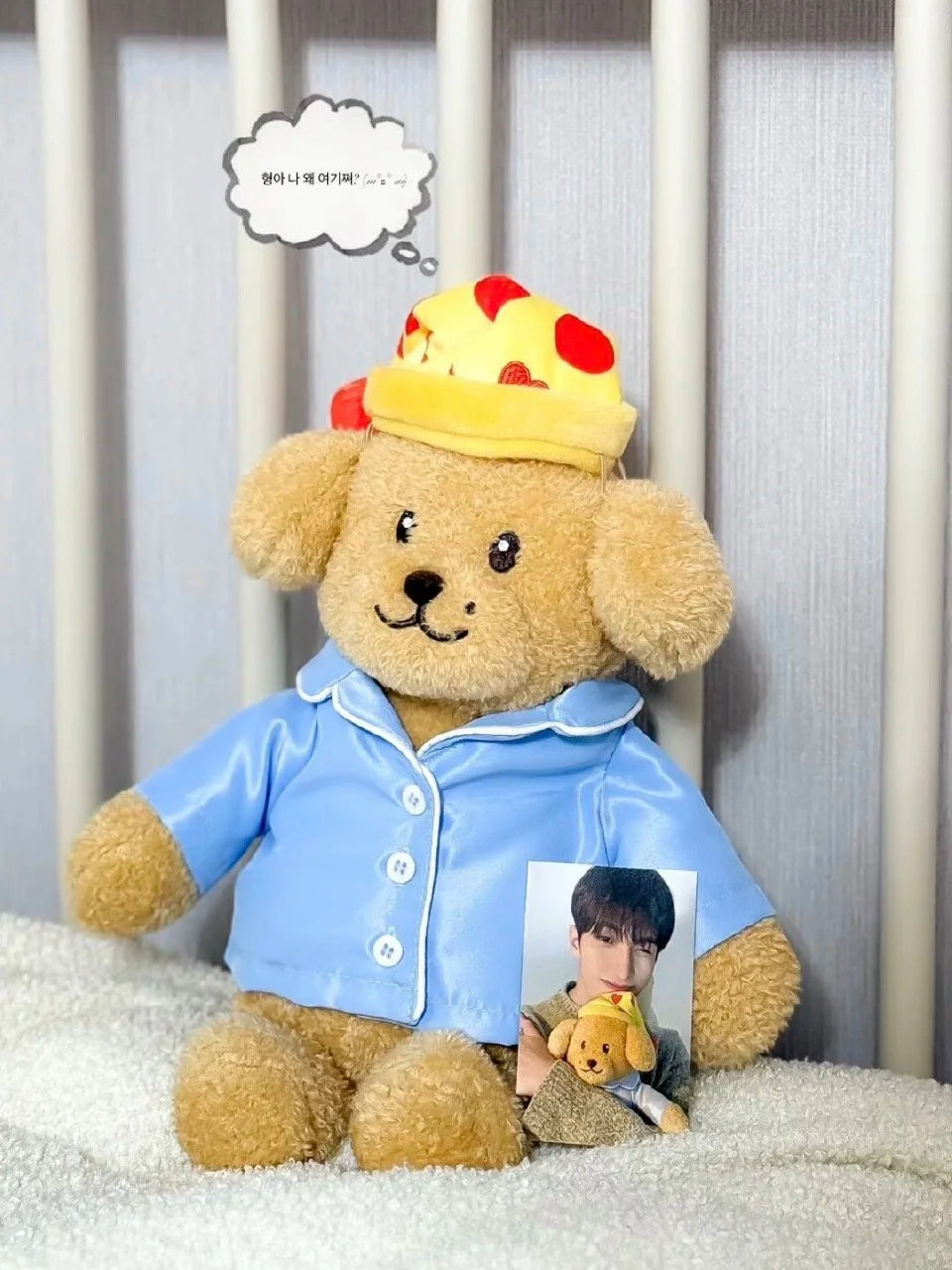 Seventeen DK Inspired DOA Plush Toy