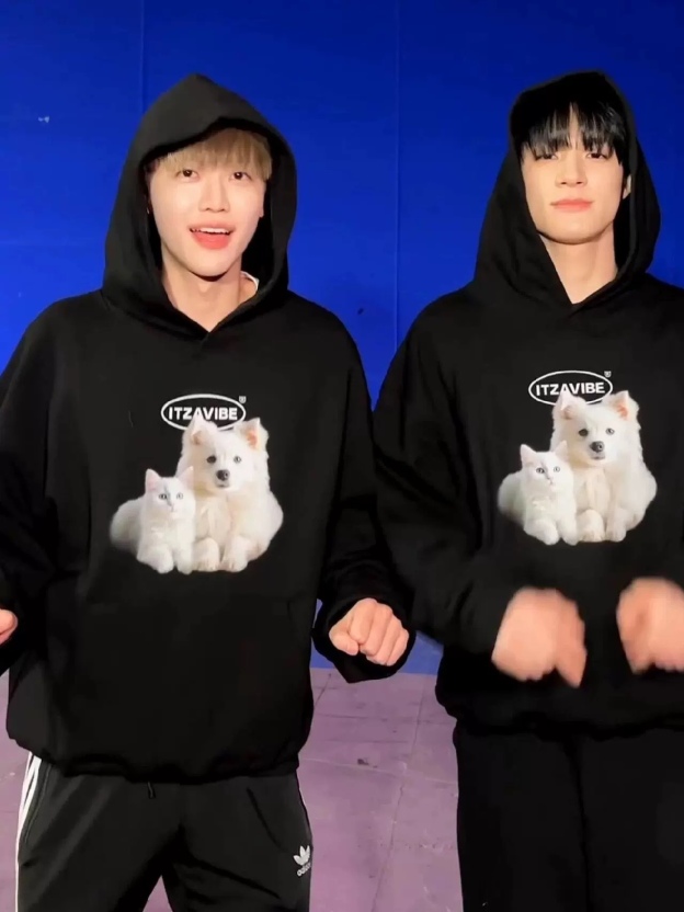 NCT RENJUN & JAEMIN Inspired Cat-Dog Hoodie