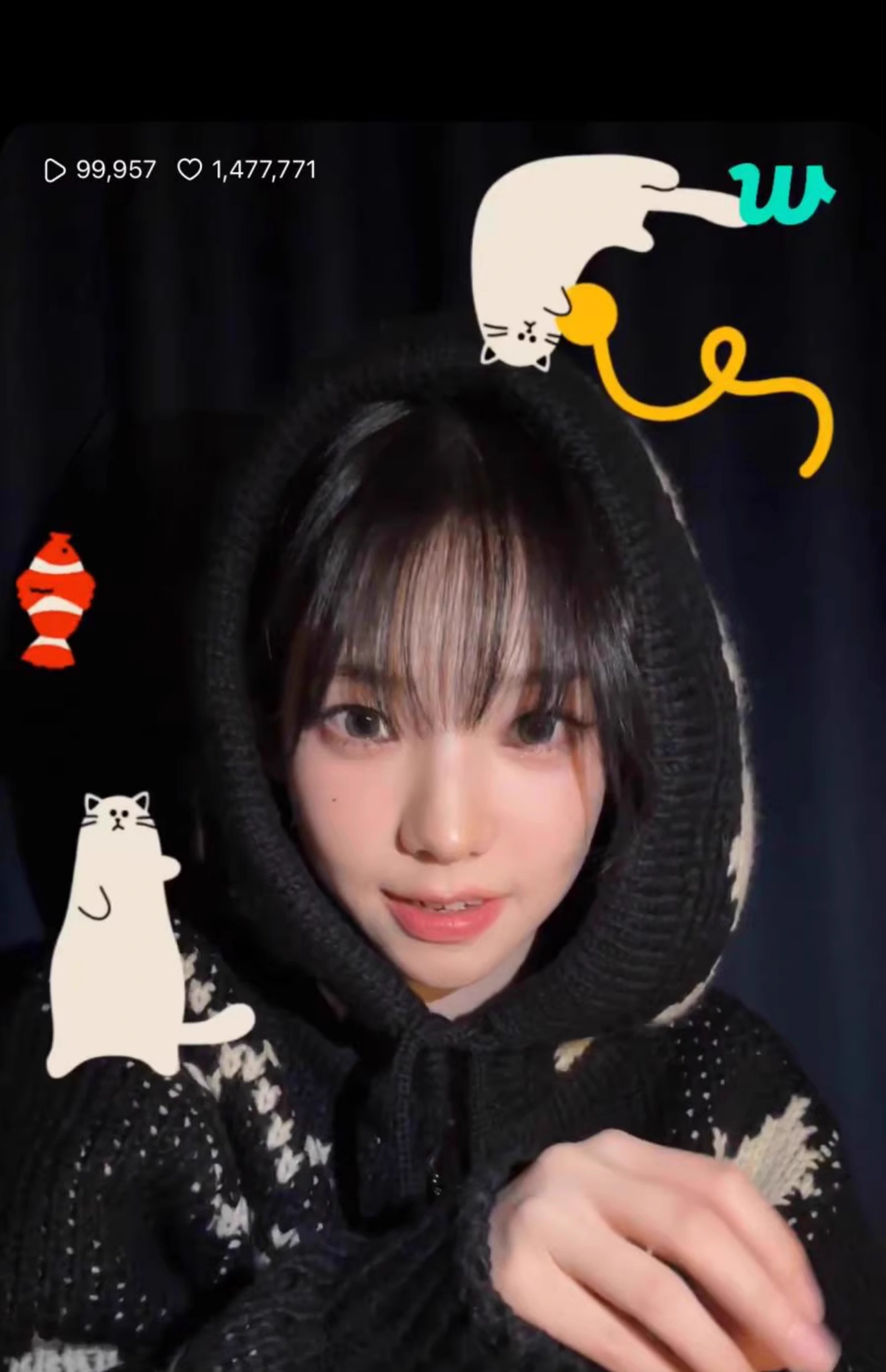 Hooded Sweater Zipper Cardigan-Aespa Karina