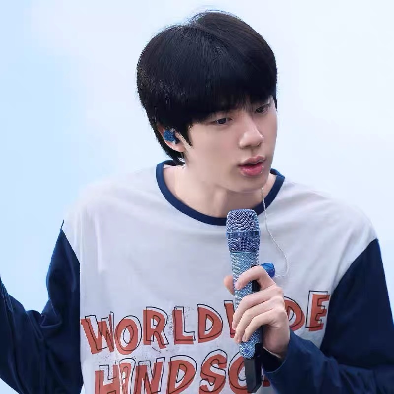 BTS JIN RunSeokjin Tour Merch Inspired T-shirt