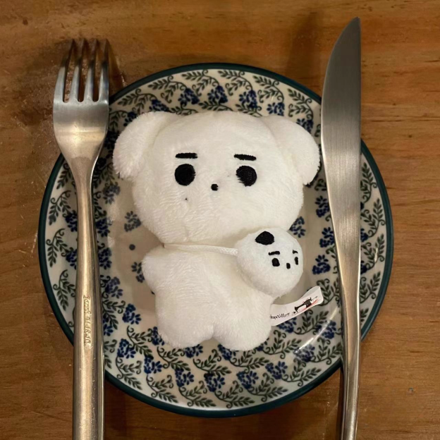 ENHYPEN Sunghoon Inspired Cotton Doll Hoondaeng