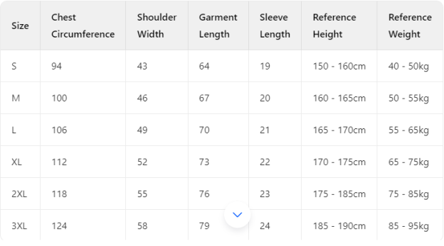 IVE 2025 Fan Concert in Tokyo T-Shirt