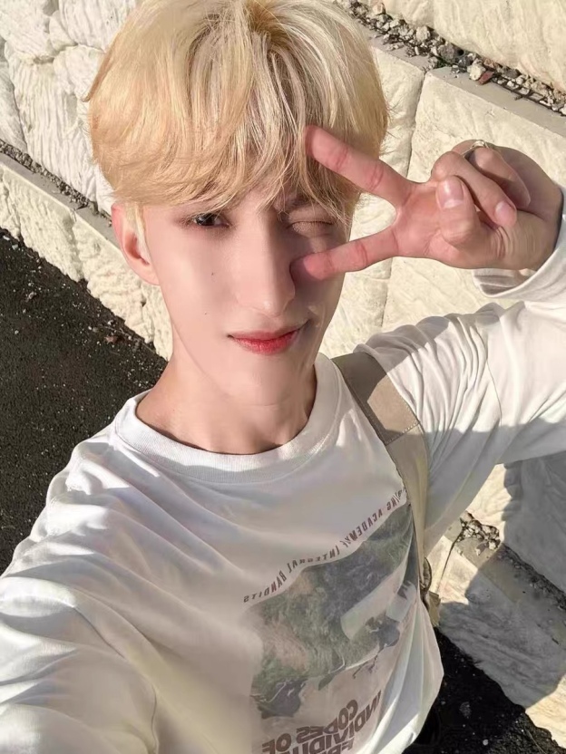 SEVENTEEN DK Inspired Graphic Long Sleeve Tee