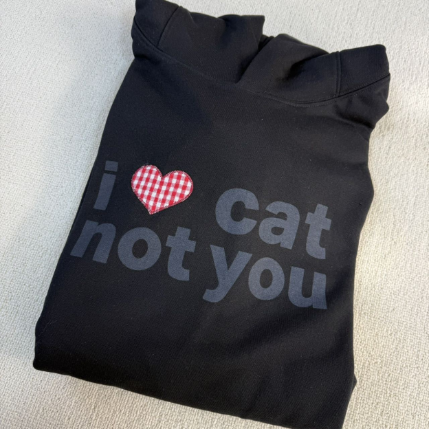 Nct Dream Jaemin Inspired I LOVE CAT NOT YOU CAT EAR HOODIE