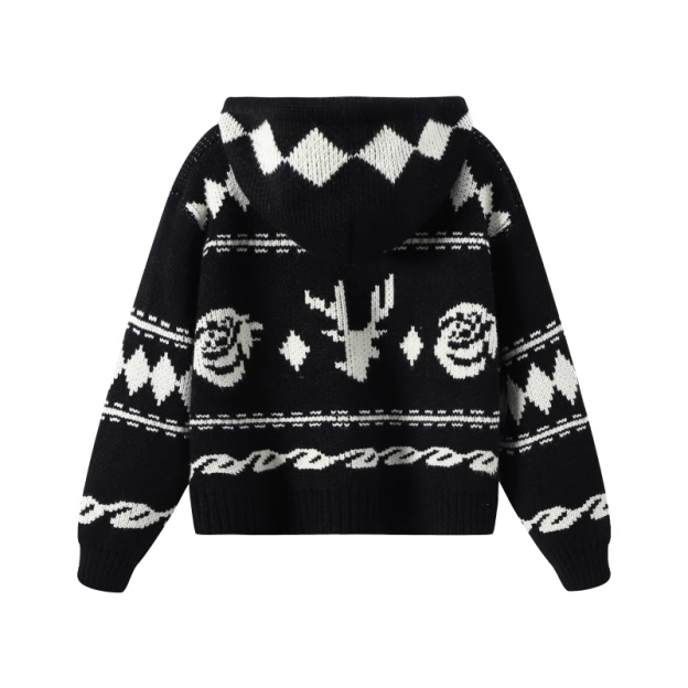 Hooded Sweater Zipper Cardigan-Aespa Karina