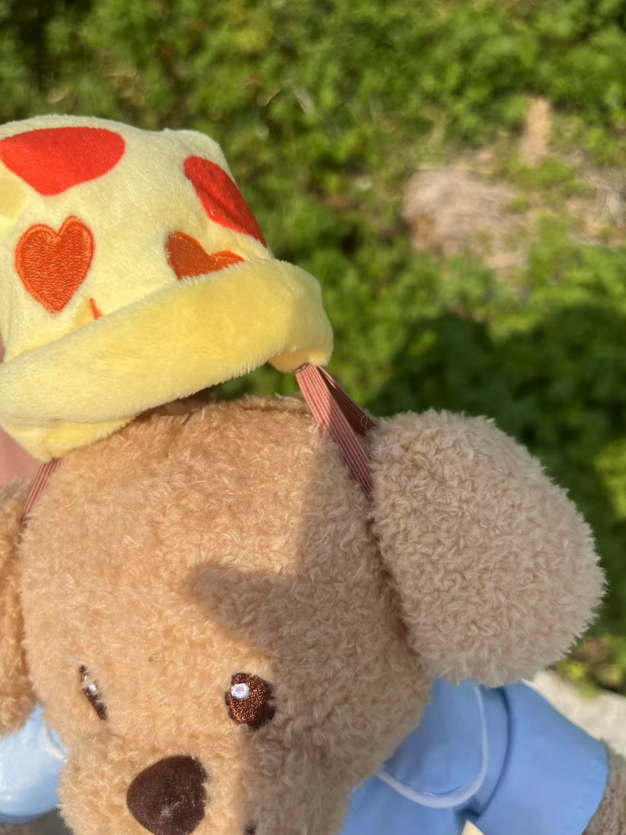 Seventeen DK Inspired DOA Plush Toy