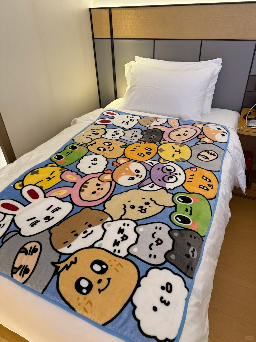 Seventeen Miniteen Merch Inspired Blanket