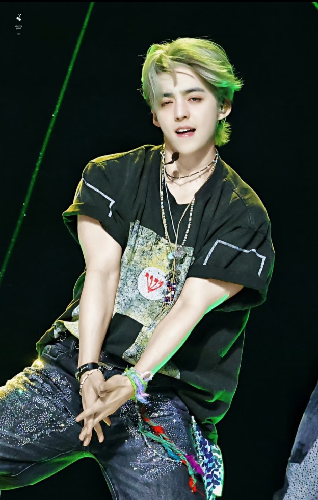 Seventeen Scoups Inspired Vintage Washed Tshirt