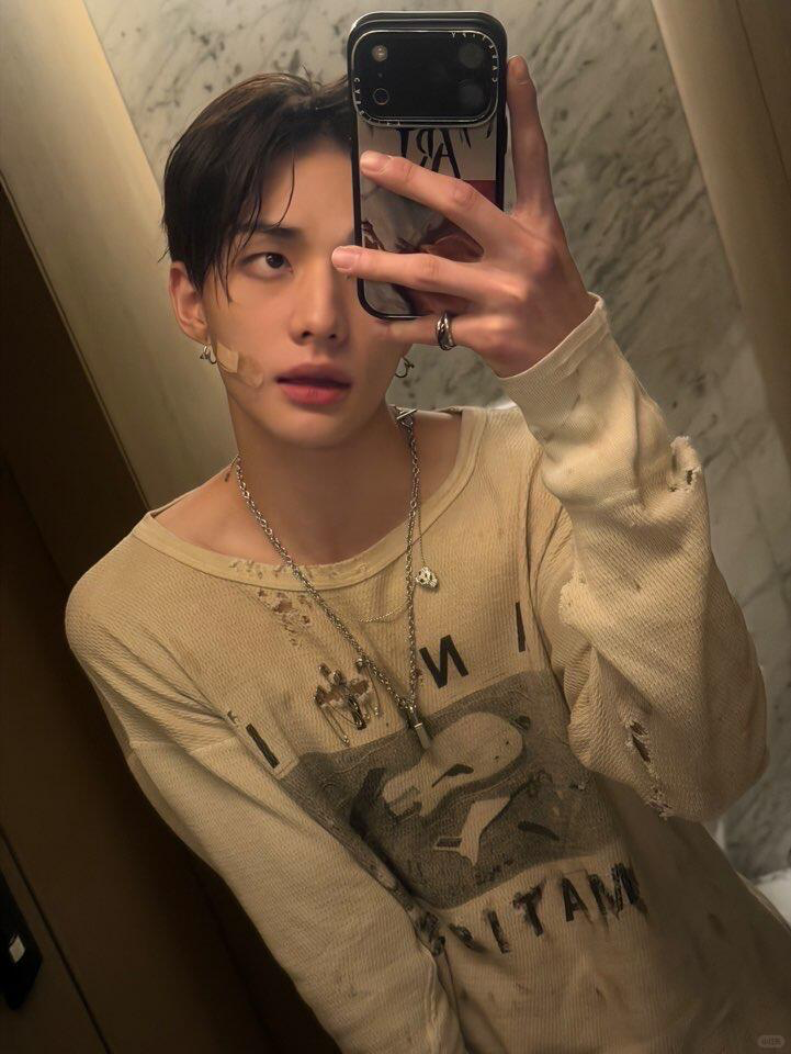 Stray kids Hyunjin Inspired ERD Anti Matisse Thermal Long Sleeve T-Shirt 