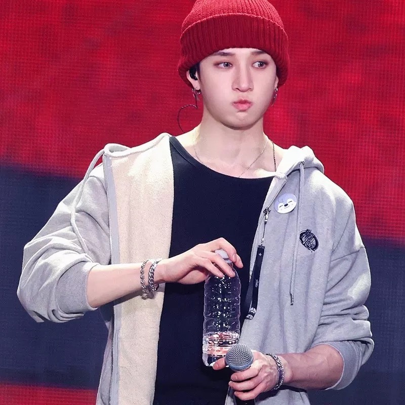 Stray kids 5 star tour inspired merch hoodie